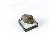 Goethite Pseudomorph after Pyrite Crystals - Utah #371941-1